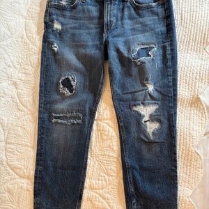 Joe's Jeans size 28 "The Billie Ankle" destructed slim straight